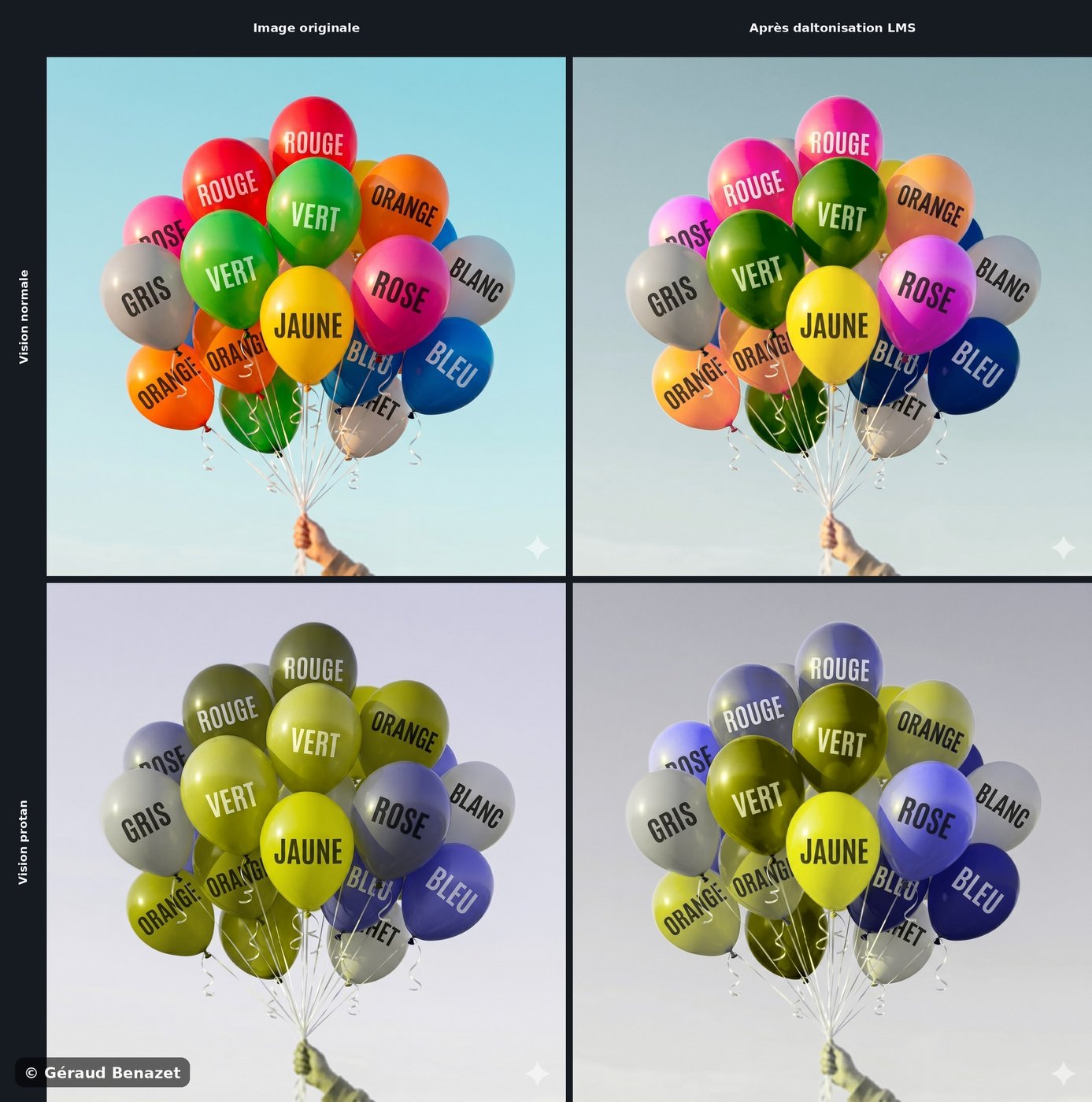 Matrice 2×2 illustrant la daltonisation LMS vue par un protan : l'image est redistribuée pour le trichromate mais reste indiscernable pour le daltonien.